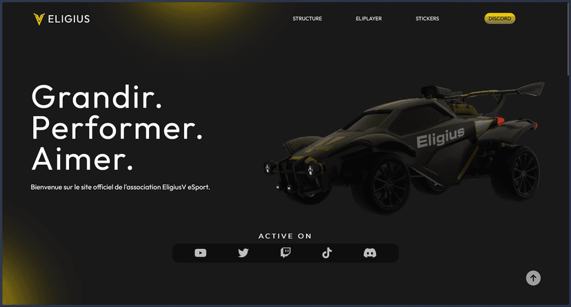EligiusV (eSport) preview